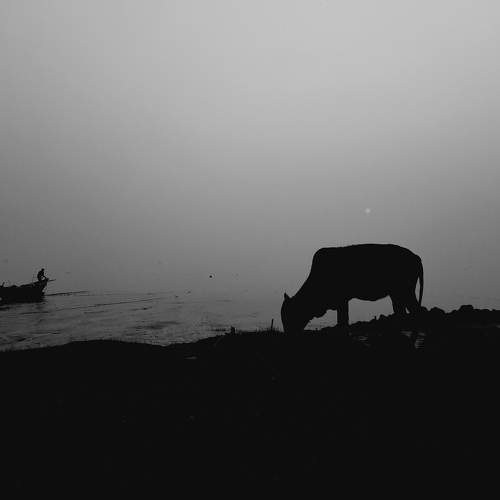 Nothingness