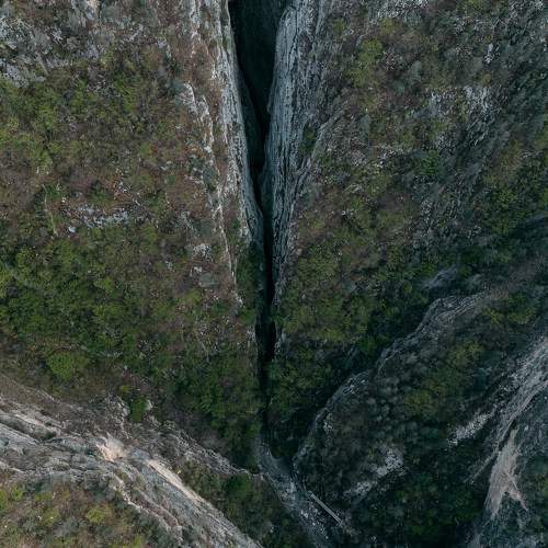 Photo #9882923