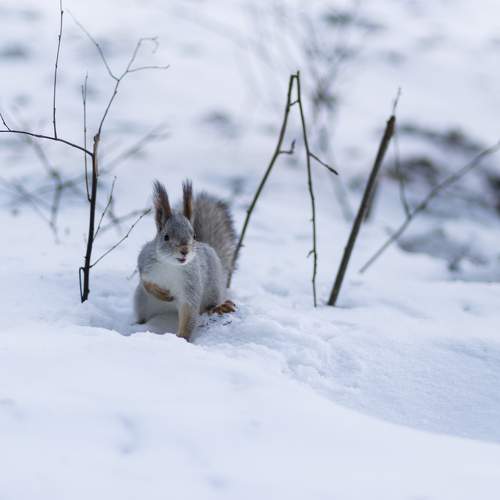 Photo #9883090