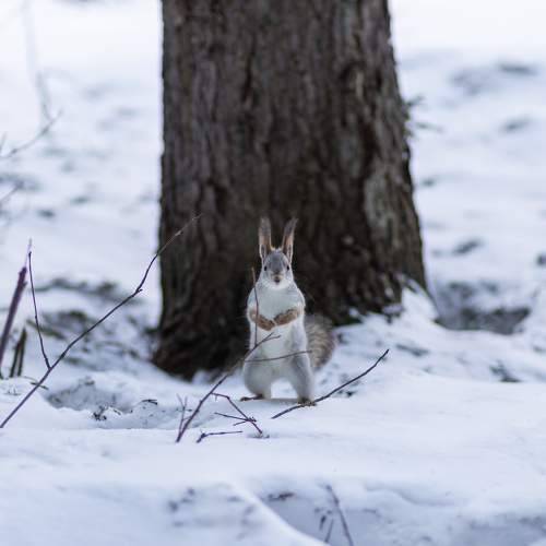 Photo #9883091