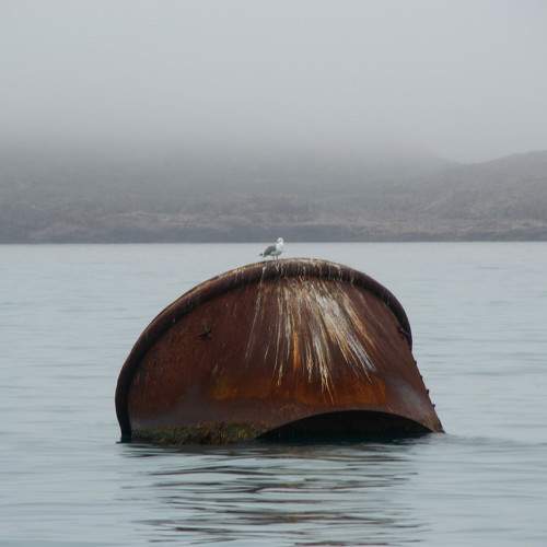 Photo #9883254
