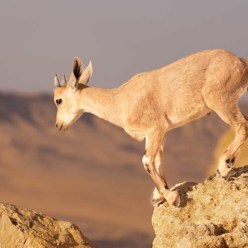 Photo #9883425