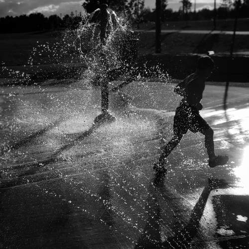 Фотография #9883461