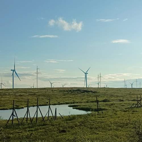 Photo #9883528