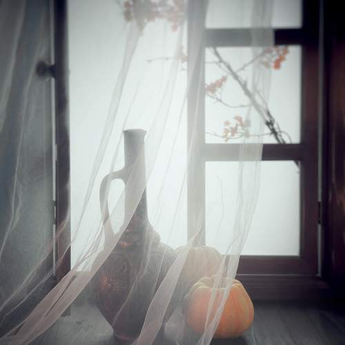 Photo #9883902