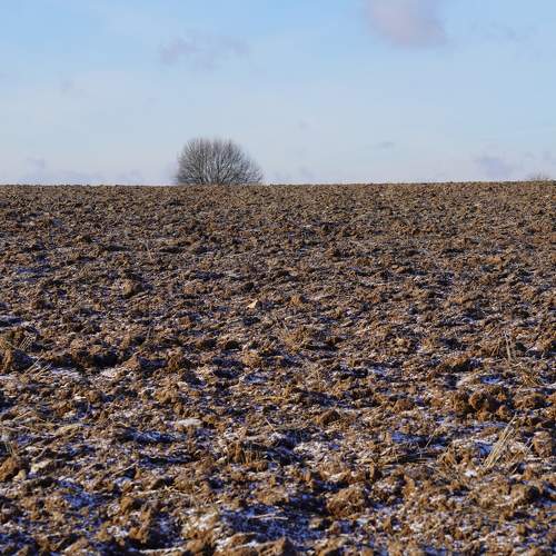 Photo #9884035