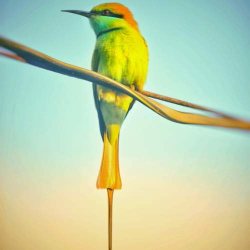 Photo #9884174