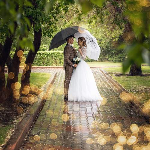 Photo #9884175