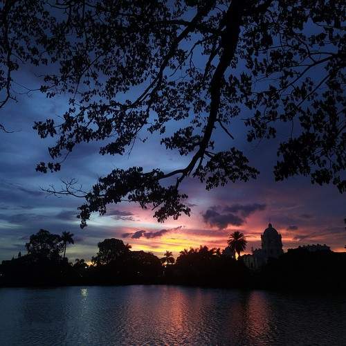 Photo #9884181
