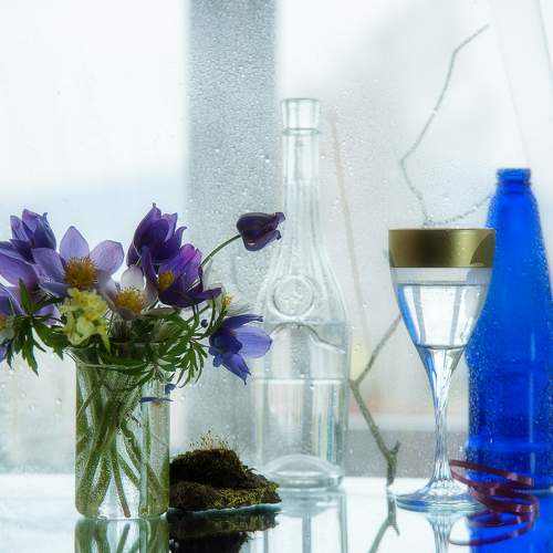 Photo #9884244