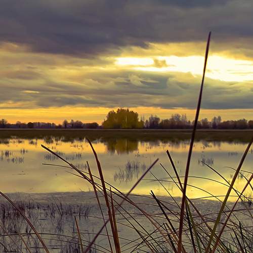 Photo #9884379