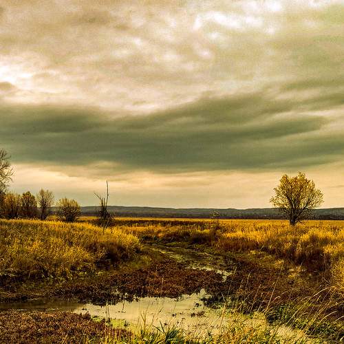 Photo #9884380