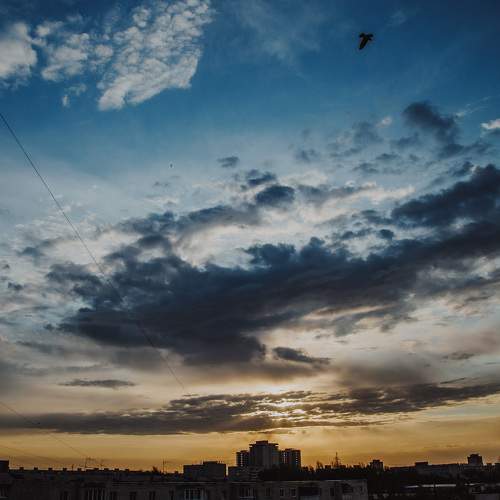 Photo #9884462