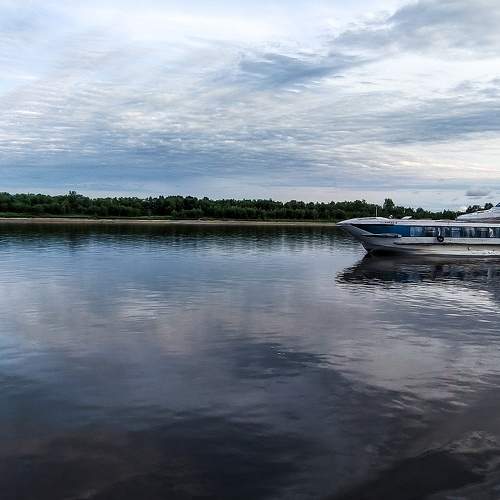 Photo #9884608