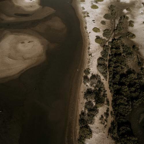 Photo #9884691
