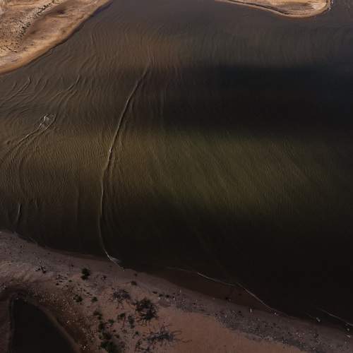 Photo #9884692