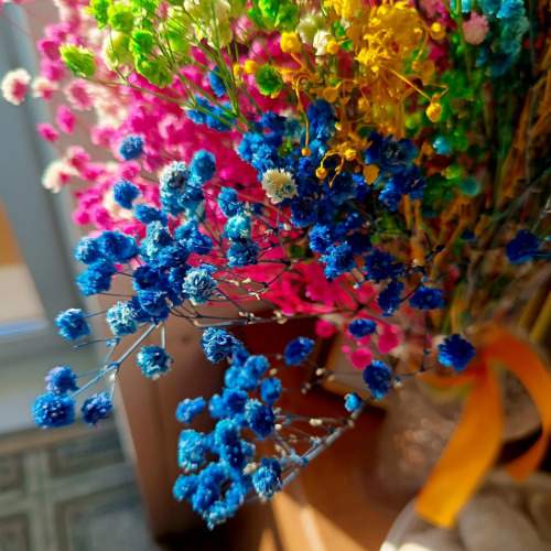 Photo #9884721