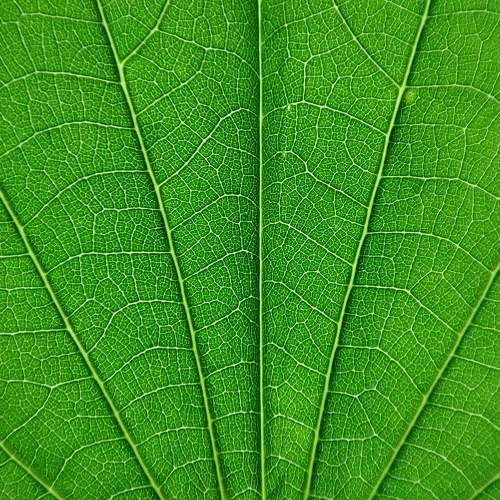 Photo #9884760