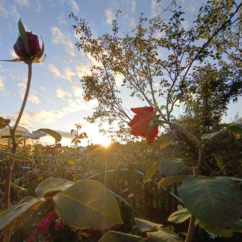 Photo #9884830