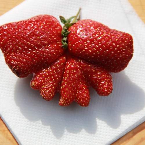 Photo #9884880