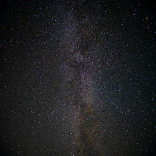 Photo #9885045