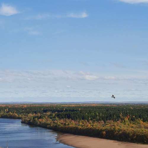 Photo #9885315