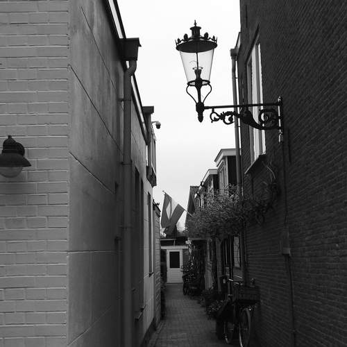 Photo #9885649