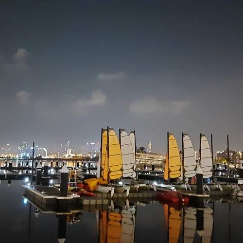 Photo #9885717