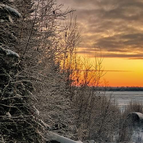Photo #9886527