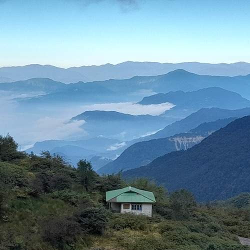 Photo #9886789