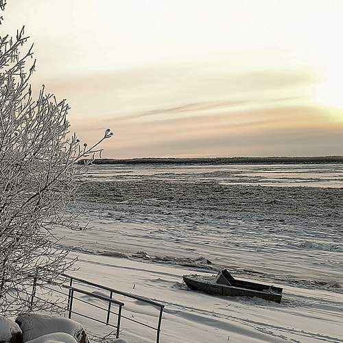 Photo #9886829