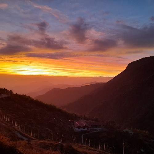 Photo #9886887