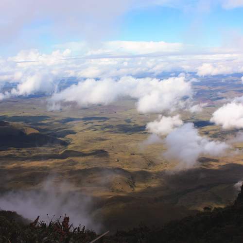 Photo #9887162