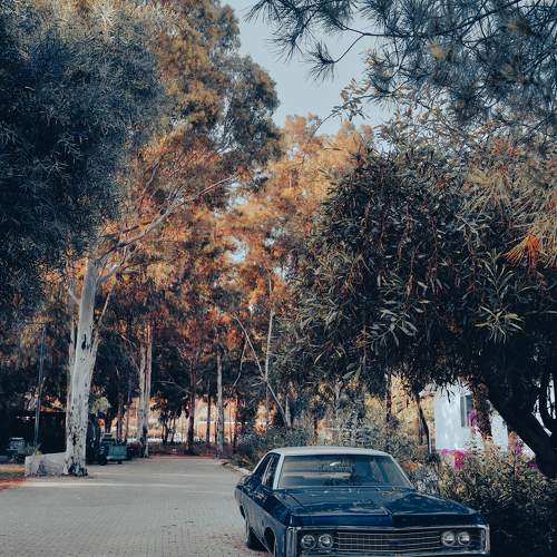 Photo #9887298