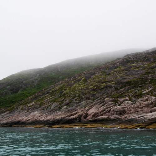 Photo #9887557