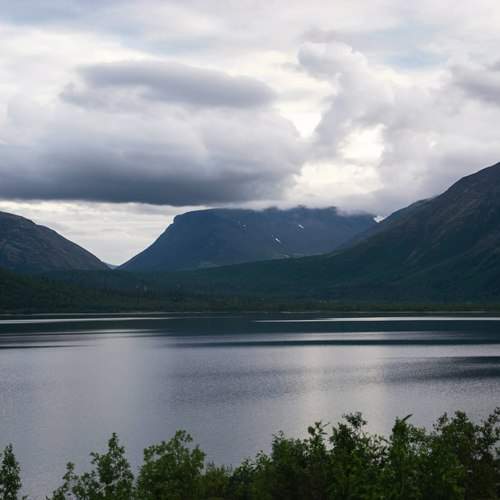 Photo #9887600