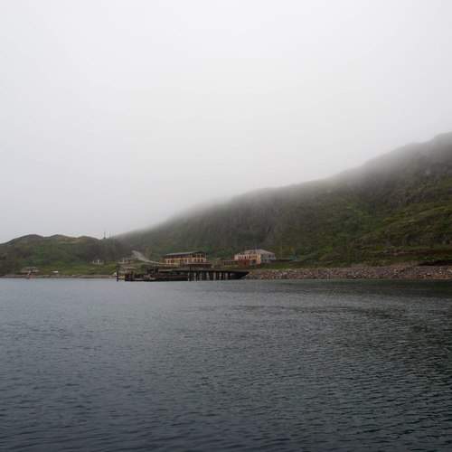 Photo #9887624