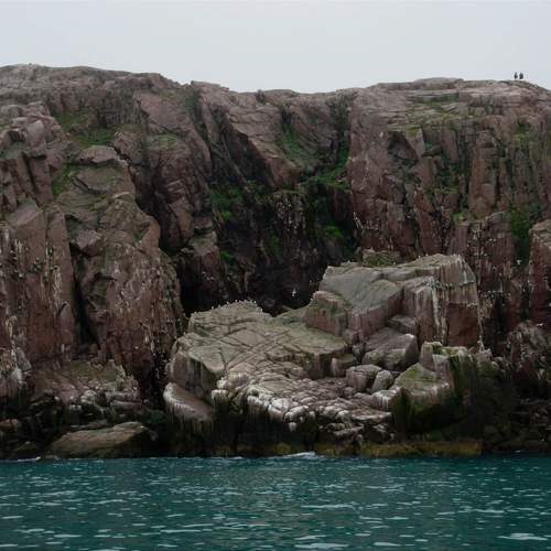 Photo #9887654