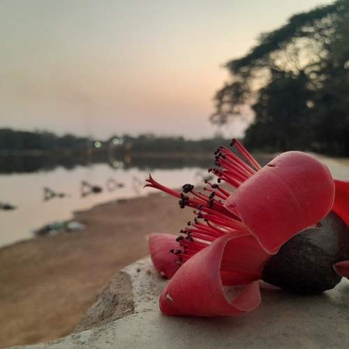Photo #9887743