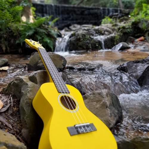 Yellow friend in green