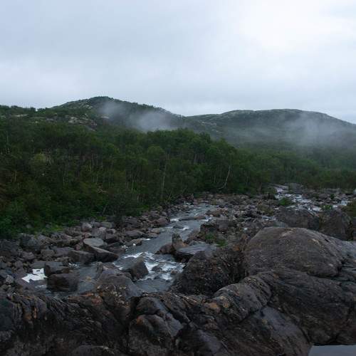 Photo #9887838