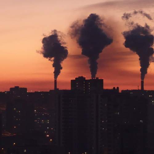 Photo #9888348