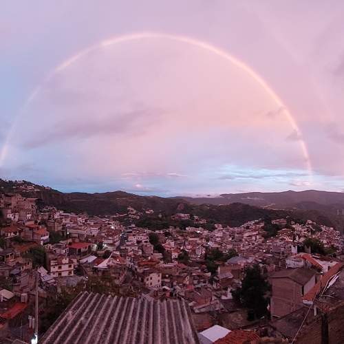 Photo #9888751