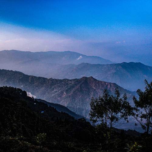Photo #9888786