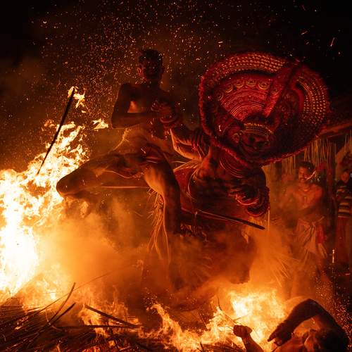Photo #9888824