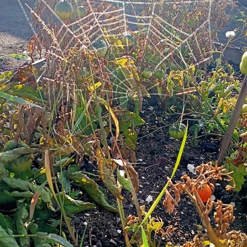 Photo #9888883