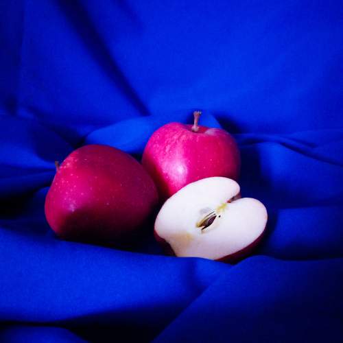 Photo #9888964
