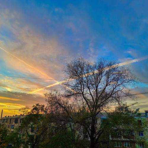 Photo #9889020