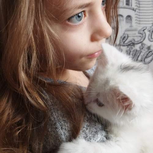 Photo #9889143