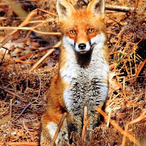Photo #9890023